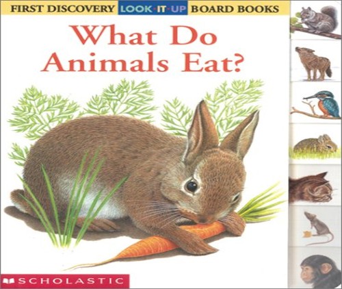 What Do Animals Eat?