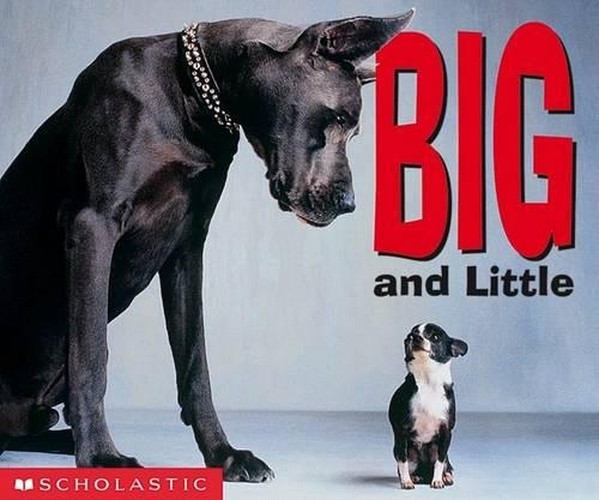 Big and Little Board Book