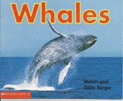 Whales