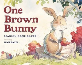 One Brown Bunny
