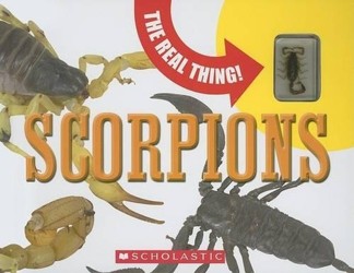 Real Thing! Scorpions