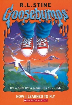 How I Learned to Fly