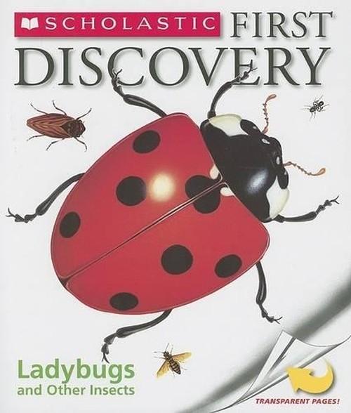 Ladybugs and Other Insects