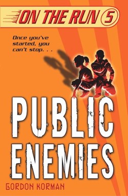 Public Enemies