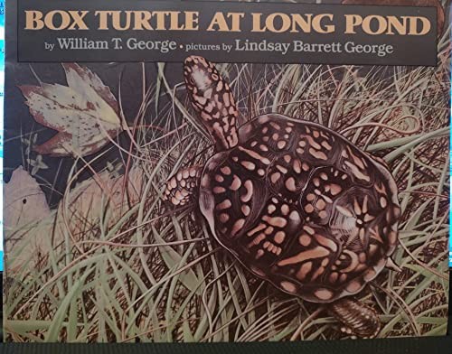Title: Box Turtle at Long Pond