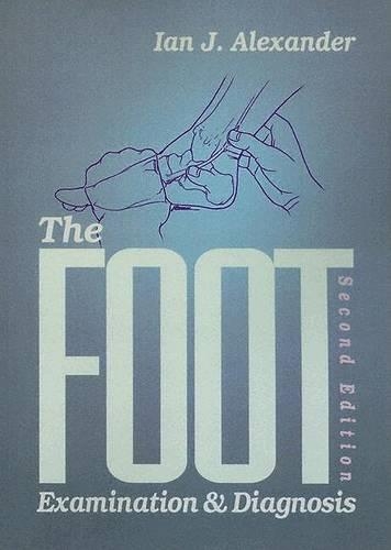 The Foot