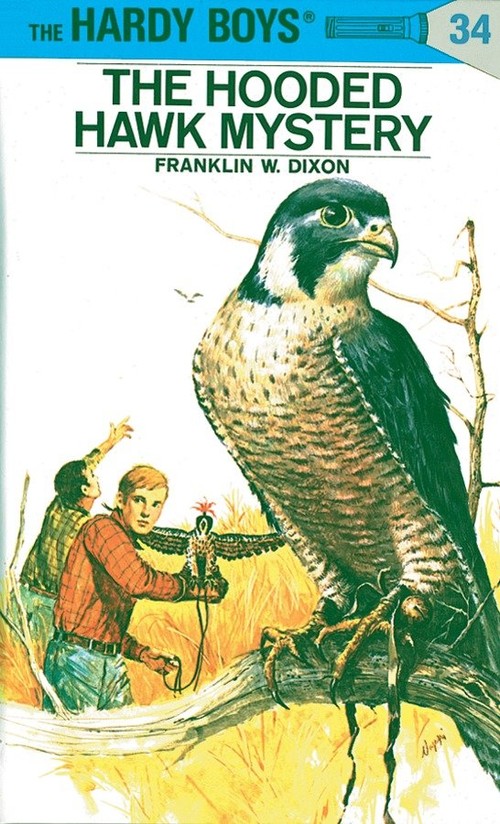 The Hardy Boys 34: The Hooded Hawk Mystery