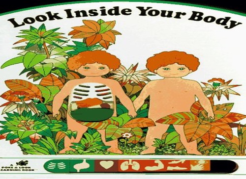 Look Inside Your Body