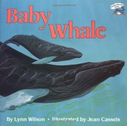 Baby Whale
