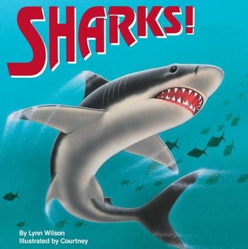 Sharks!