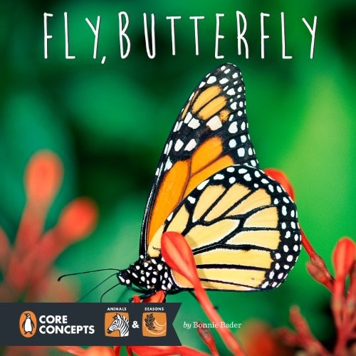 Fly, Butterfly