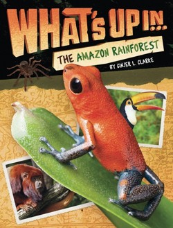 What's Up In The Amazon Rainforest
