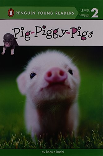 Pig-Piggy-Pigs