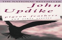 Pigeon Feathers