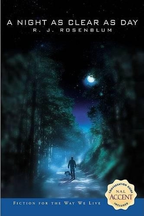 A Night as Clear as Day