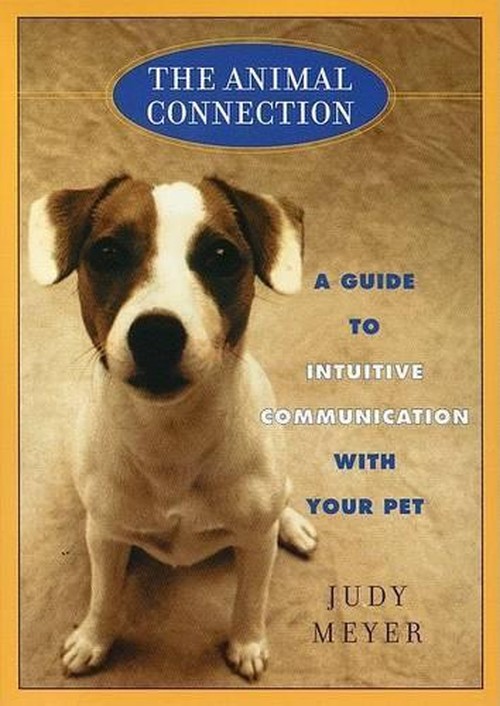 The Animal Connection