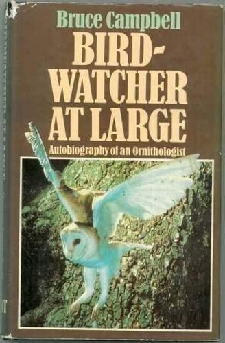 Bird Watcher at Large