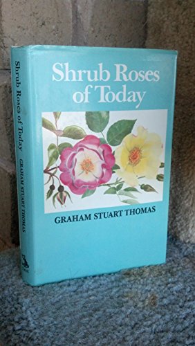 Shrub Roses of Today