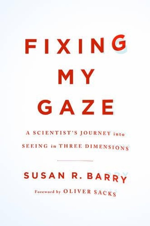 Fixing My Gaze