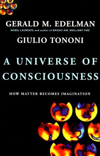 A Universe of Consciousness