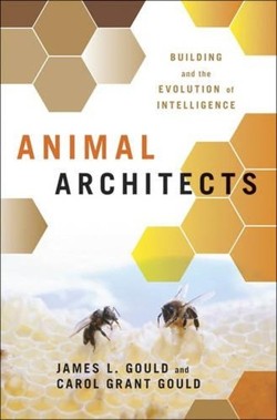 Animal Architects