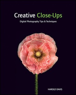 Creative Close-Ups