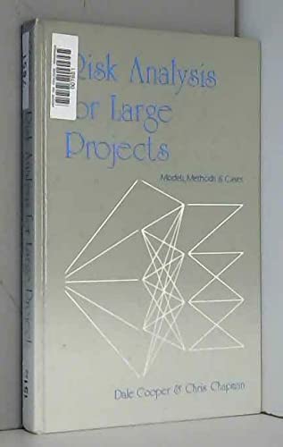 Risk Analysis for Large Projects