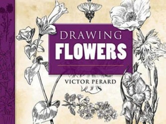 Drawing Flowers
