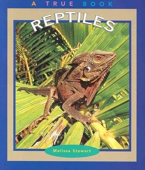 Reptiles