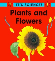 Plants and Flowers