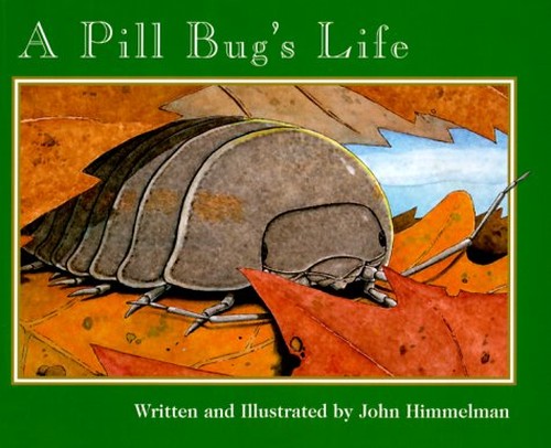 A Pill Bug's Life