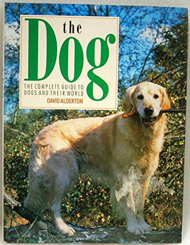 The Dog