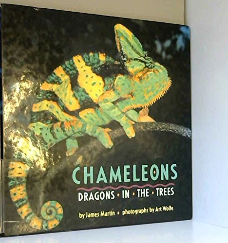 Chameleons Dragons in the Trees