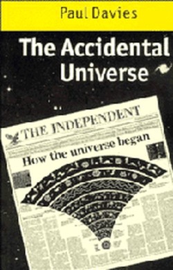 The Accidental Universe