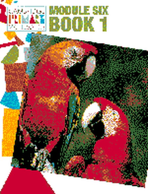 Module 6 Pupils' book 1