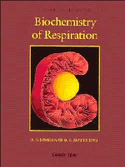 Understanding the Biochemistry of Respiration