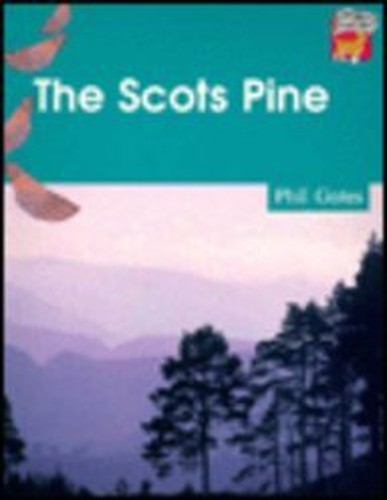 The Scots Pine