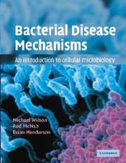 Bacterial Disease Mechanisms