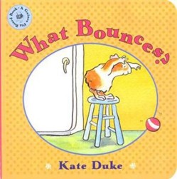 What Bounces?