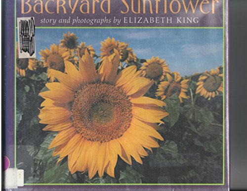 King Elizabeth : Backyard Sunflower (HB)