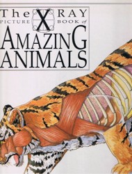 Amazing Animals