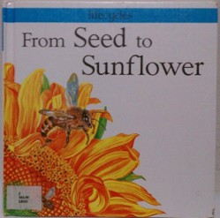 From Seed to Sunflower