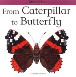 From Caterpillar to Butterfly