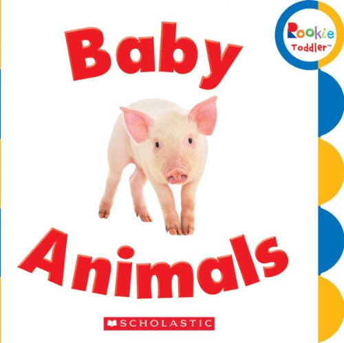 Baby Animals