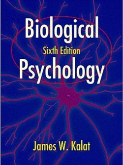 Biological Psychology