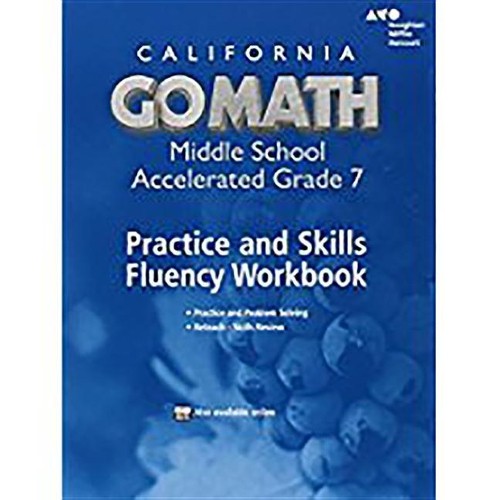 Practice Fluency Workbook Accelerated 7