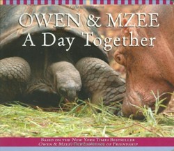 Owen and Mzee