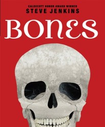 Bones Skeletons and How They Work