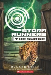 The Surge