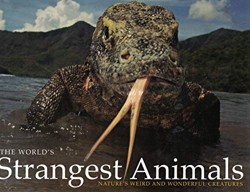 The World's Strangest Animals (Nature's weird and wonderful creatures)